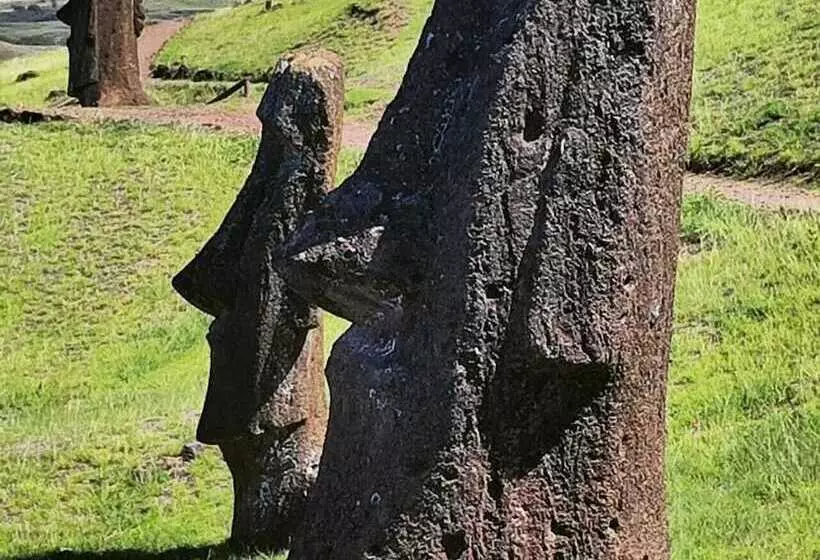 Hotelli Cabañas Mana Nui Inn