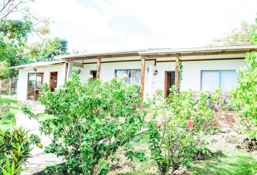هتل Cabañas Mana Nui Inn