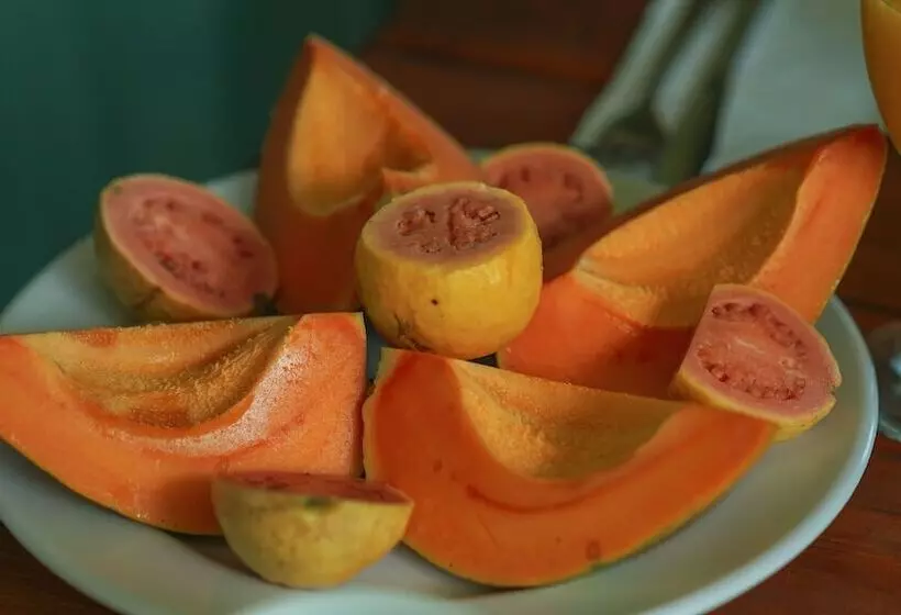 Hotelli Cabañas Mana Nui Inn