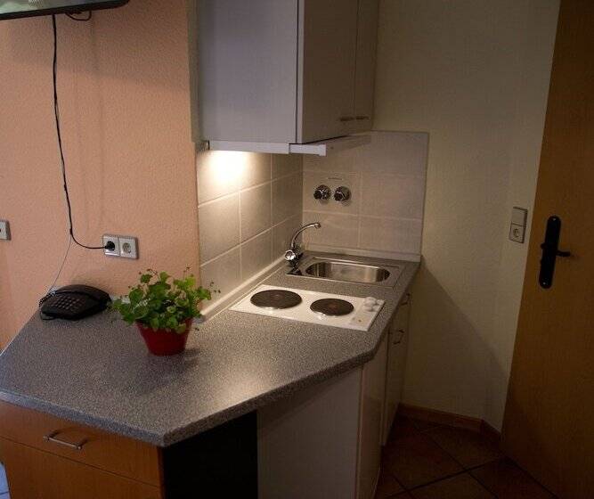 호텔 Garni Schneevoigt