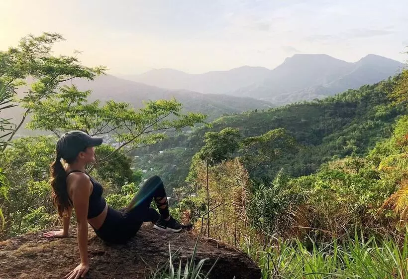 هتل Pax Guest House