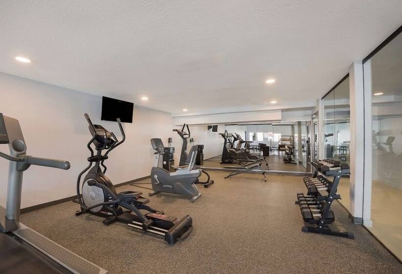 ホテル Quality Inn & Suites Castle Rock/SW Denver