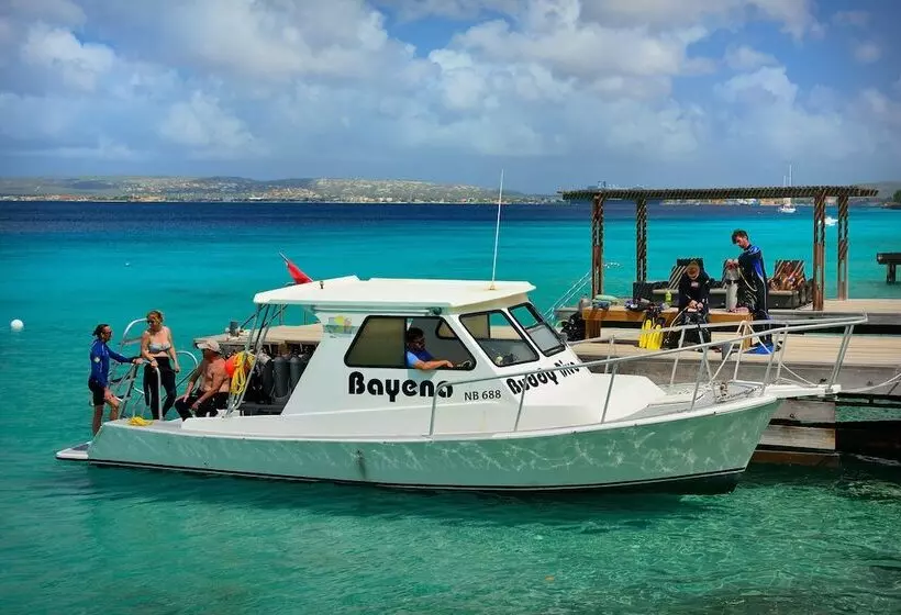 هتل Belmar Oceanfront Apartments