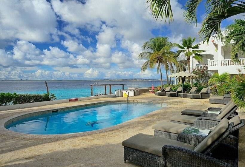 هتل Belmar Oceanfront Apartments