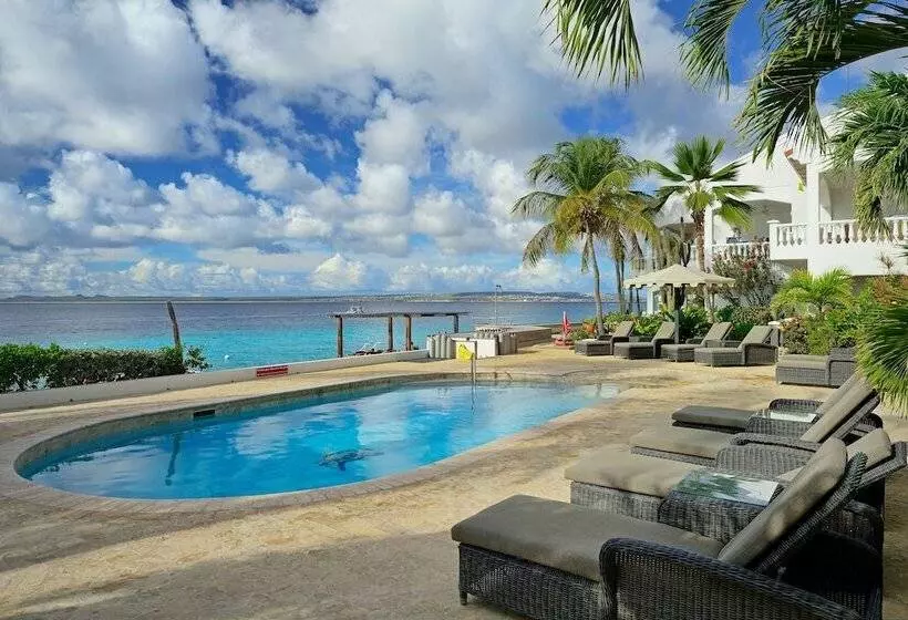 هتل Belmar Oceanfront Apartments