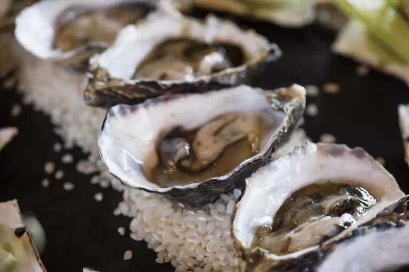 ホテル Cicada Lodge