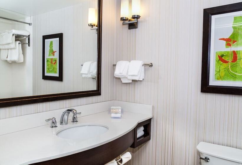 בית מלון כפרי Hilton Garden Inn Burlingtondowntown