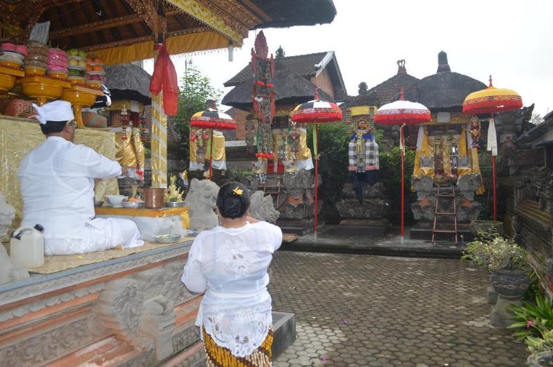 酒店 Nick's Homestay