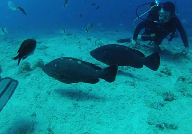 酒店 Porto Maltese Boutique Estate