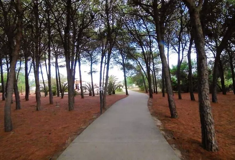 Villaggio Triton   Aurum Hotels