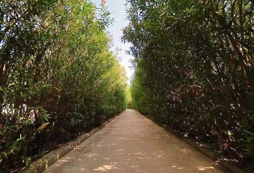 Villaggio Triton   Aurum Hotels