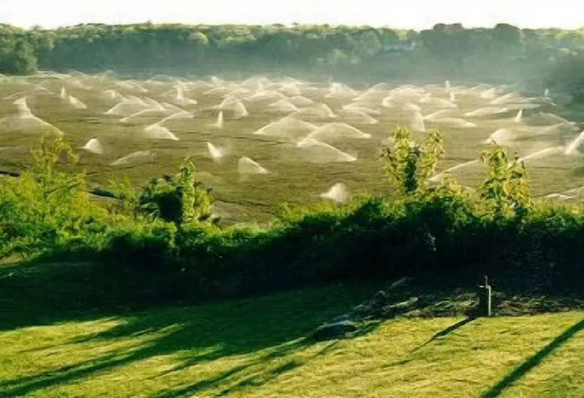 Hotelli Wood Duck Inn