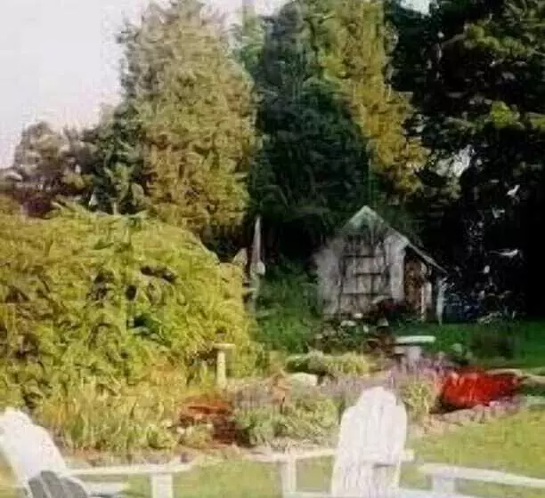 Hotelli Wood Duck Inn