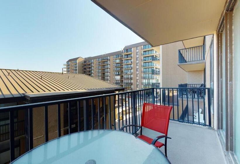 هتل Sea Colony  208 Brandywine House