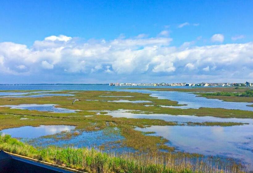 Отель Seabay Vista 2 301