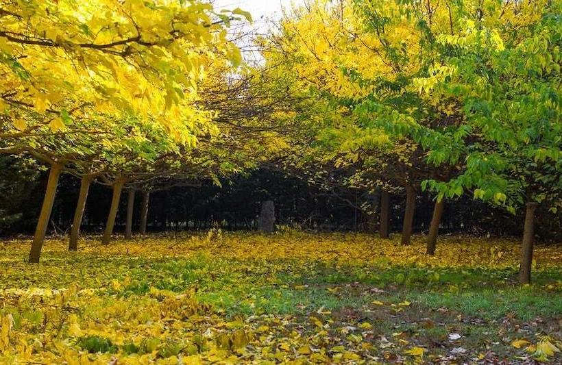 בית מלון כפרי Rural 26 Labrador Adults Only