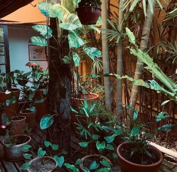 ホテル Ferrujao Pousada E Restaurante