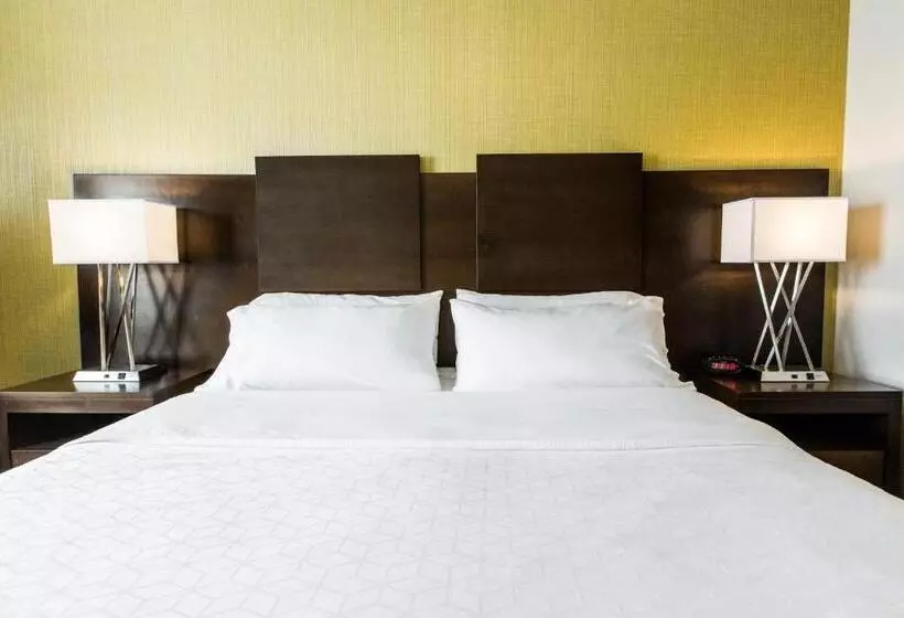 ホテル Holiday Inn Express & Suites Spruce Grove Stony Plain, An Ihg