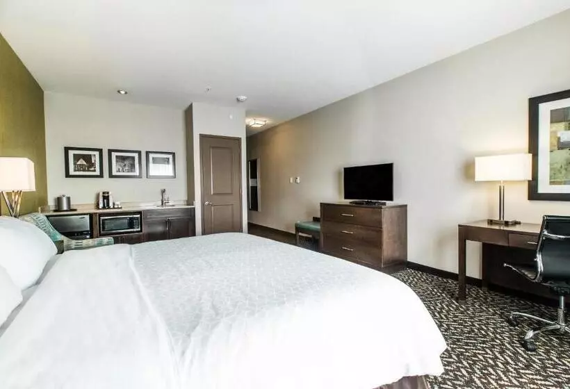 ホテル Holiday Inn Express & Suites Spruce Grove Stony Plain, An Ihg