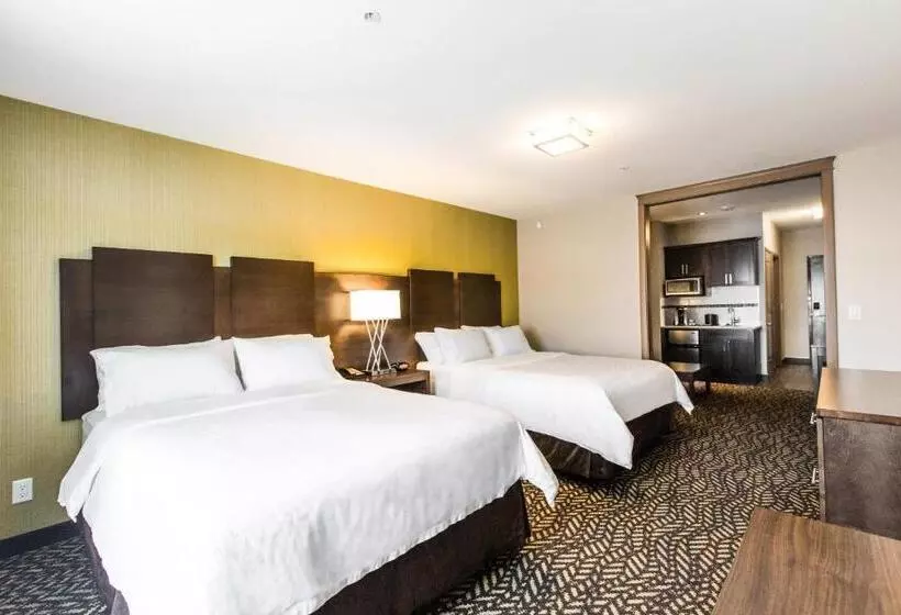ホテル Holiday Inn Express & Suites Spruce Grove Stony Plain, An Ihg