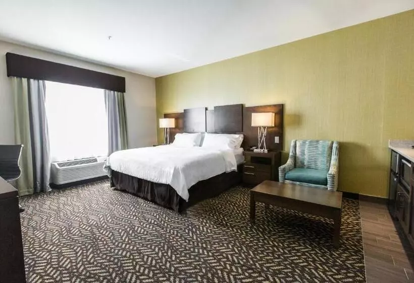 ホテル Holiday Inn Express & Suites Spruce Grove Stony Plain, An Ihg