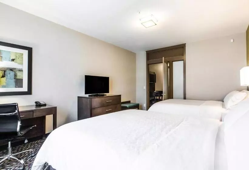 ホテル Holiday Inn Express & Suites Spruce Grove Stony Plain, An Ihg