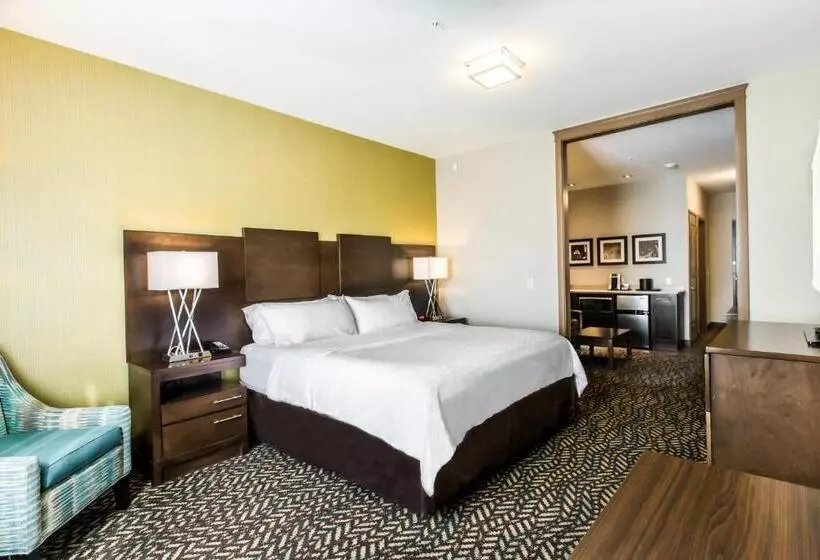 ホテル Holiday Inn Express & Suites Spruce Grove Stony Plain, An Ihg