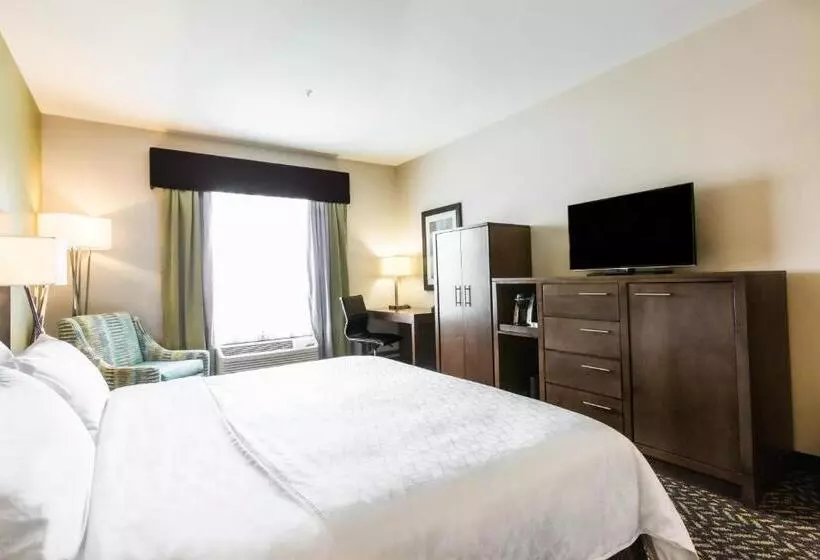 ホテル Holiday Inn Express & Suites Spruce Grove Stony Plain, An Ihg