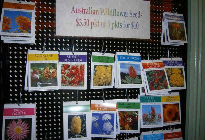 بنسيون The Grand Guesthouse