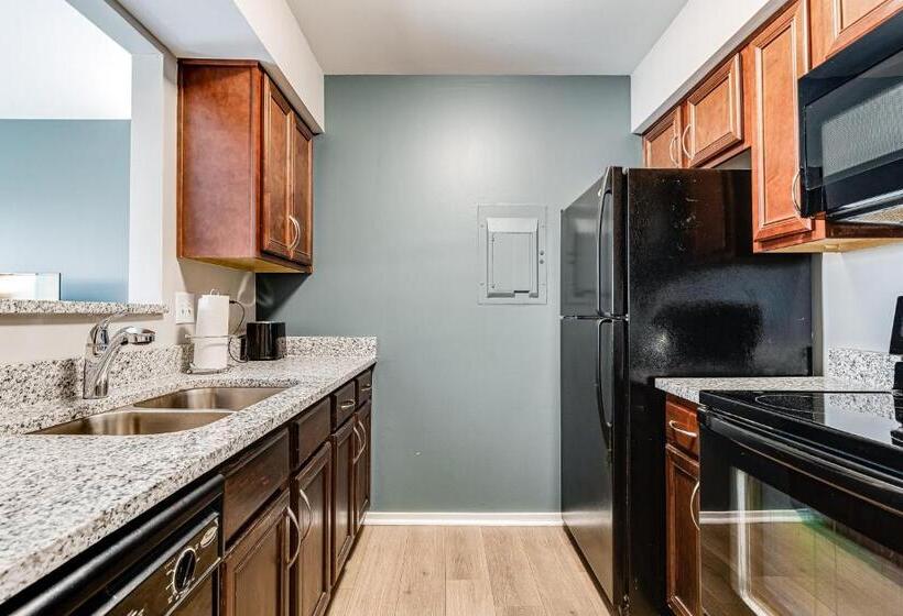 هتل Rollin On The River