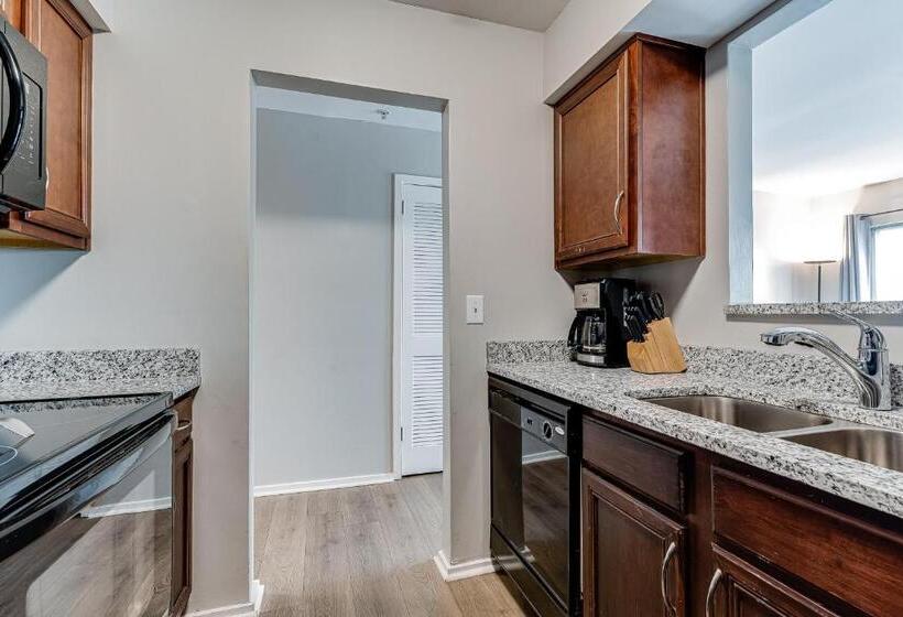 هتل Rollin On The River