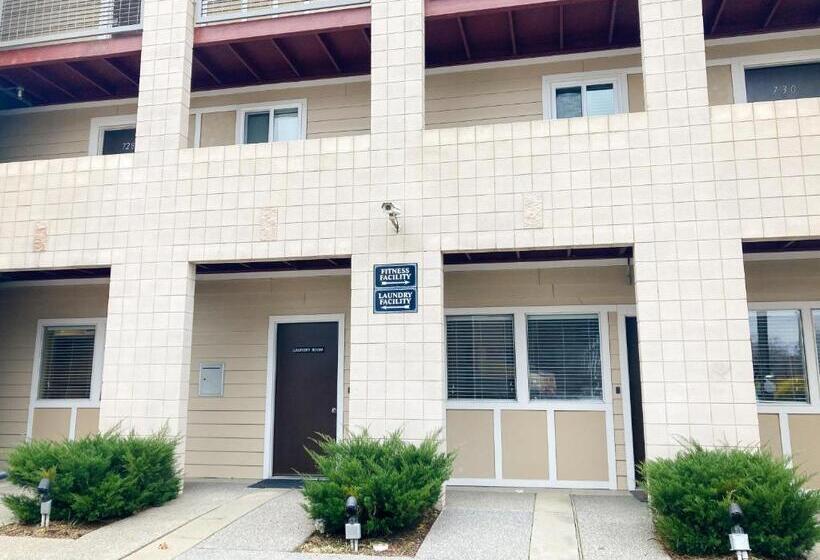 هتل Rollin On The River