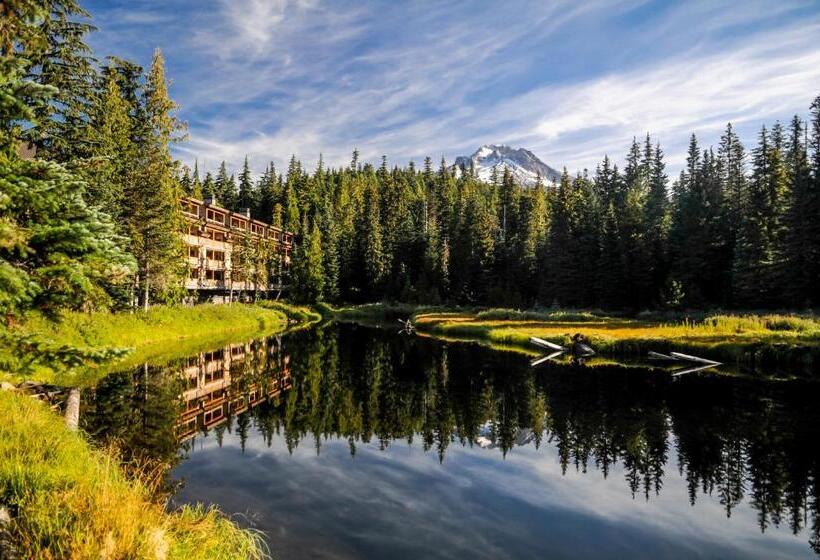 ホテル Grand Lodge South #102