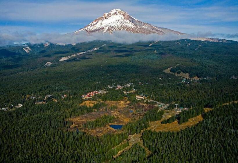 ホテル Grand Lodge South #102