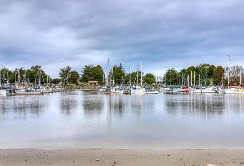 酒店 Sequoia Cottage