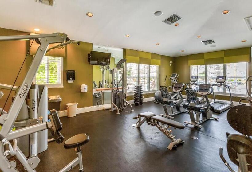 فندق Lovely Lely