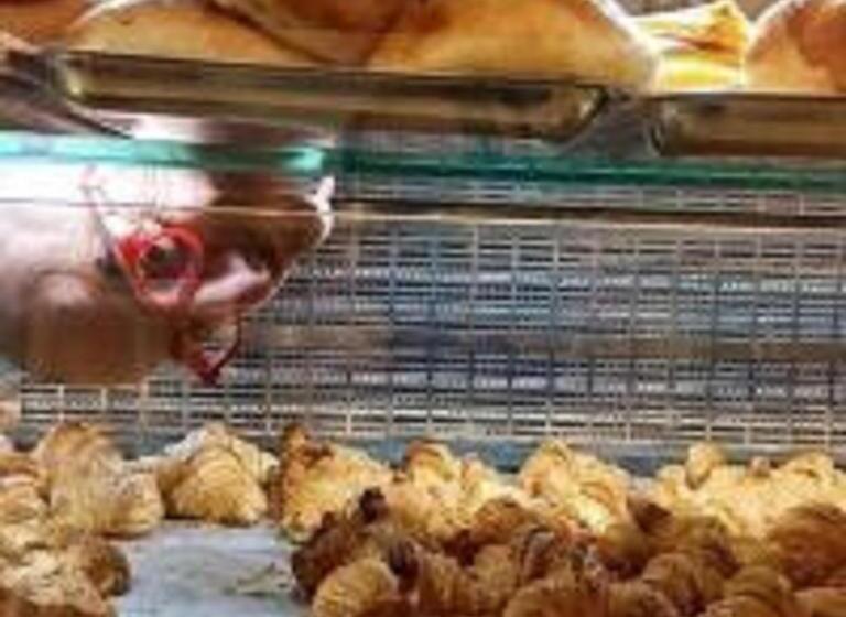 住宿加早餐  Guendalina Sweet Home   La Casetta Di Guendalina