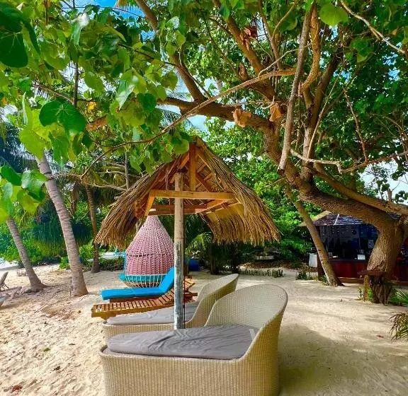 هتل Rasdu View Inn