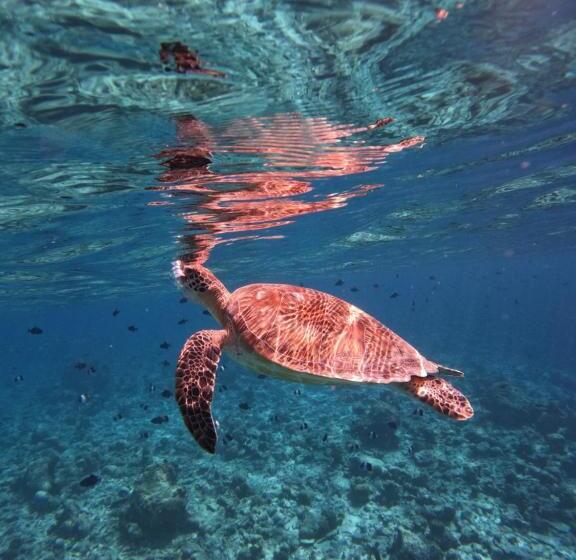 هتل Rasdu View Inn