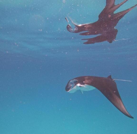 هتل Rasdu View Inn