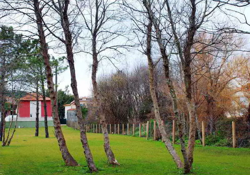 Apartamentos Monte Maela