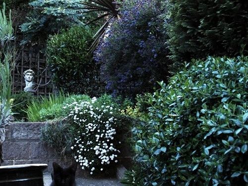 مبيت وإفطار Senlac Guesthouse