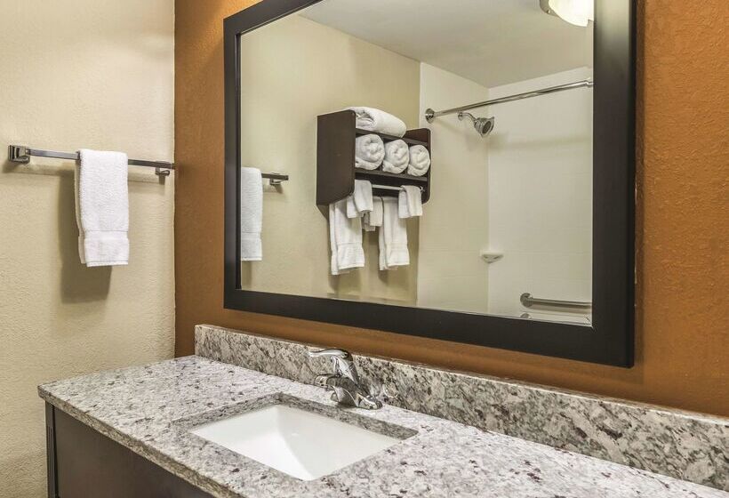 酒店 La Quinta By Wyndham Knoxville Central Papermill