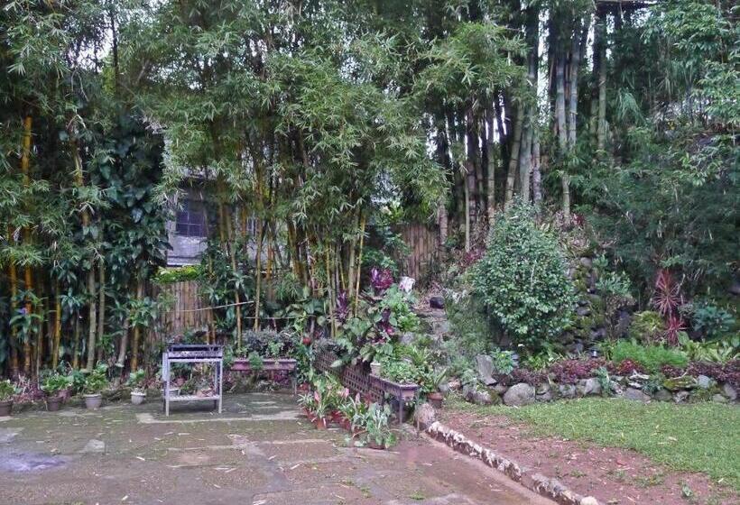 Hotel Mountain Lodge