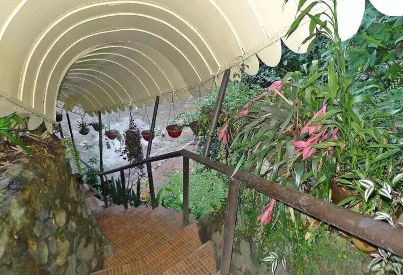 Hotelli Mountain Lodge