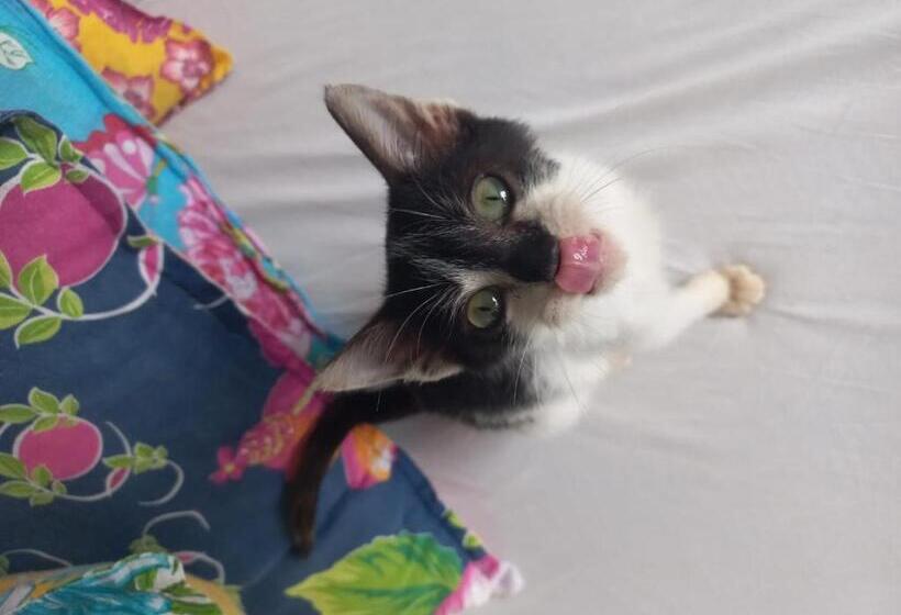 Lahselva Pousada Hostel