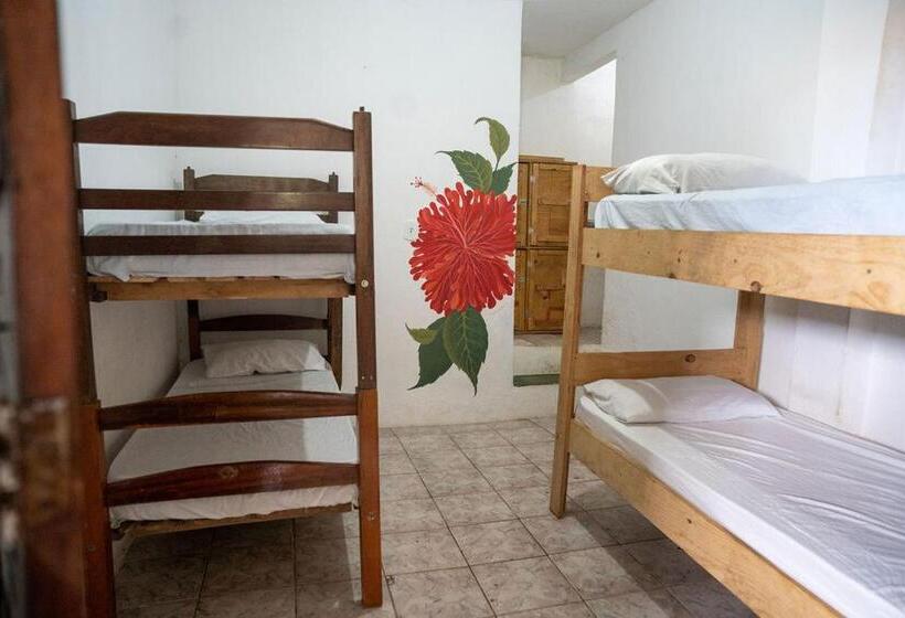 Lahselva Pousada Hostel