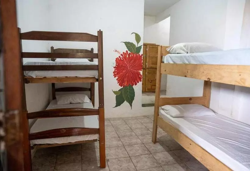 Lahselva Pousada Hostel