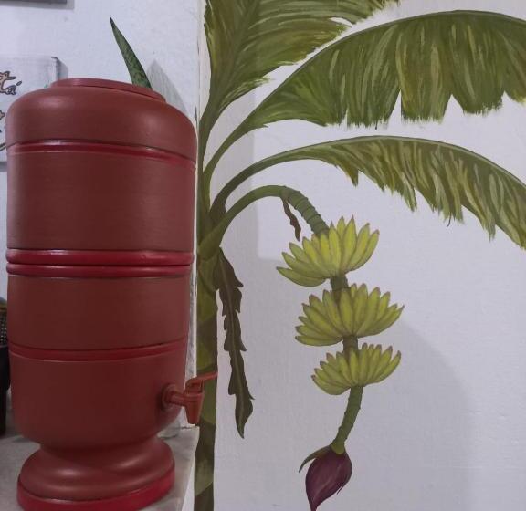 Lahselva Pousada Hostel