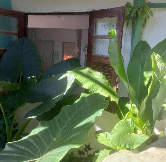 Lahselva Pousada Hostel